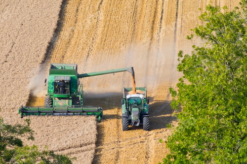 Preview: Combine Harvesters, Harvesting Wheat Into Trailer, In Rural Field