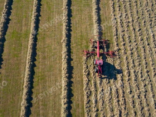 Preview: Tractor Turning Grass To Dry And Make Into Hay