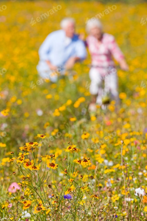 Preview: Close-Up Shot Of Wildflowers In Sunny Meadow With A Couple Riding Bicycles In The Background.