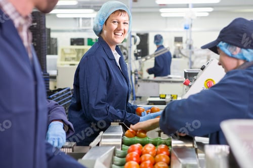 Preview: Wide Portrait Shot Of A Smiling Quality Control Worker Inspecting Tomatoes On Production Line In A