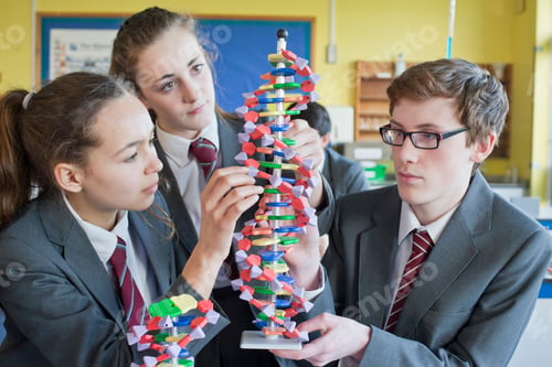 Preview: A Group Of A High School Students Assembling A Helix Dna Model In A Science Class.