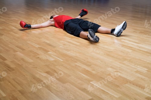 Preview: A Boxer Laying On The Floor