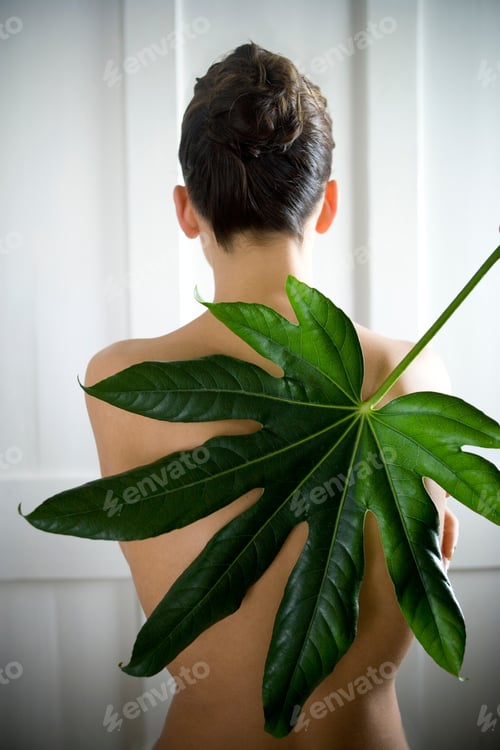 Preview: A Young Woman Posing With A Tropical Leaf