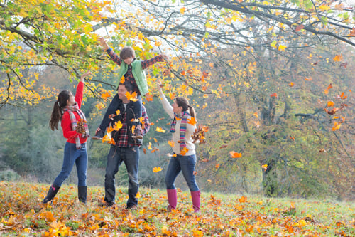 Preview: Wide Shot Of A Family Playing With Dry Leaves In An Autumnal Park.