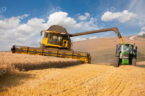 Preview: Front View Of A Combine Harvester Reaping Wheat Into A Trailer Attached To A Tractor At Rural Field.