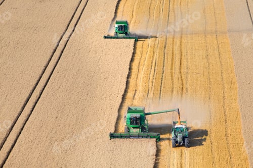 Preview: Combine Harvesters Harvesting Wheat Into The Trailer In A Rural Field