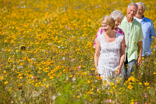 Preview: Group Of Elderly People Gazing At Flowers While Walking Across A Meadow Full Of Wildflowers.