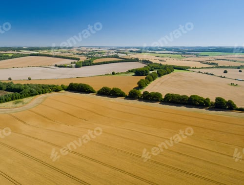 Preview: Aerial View Of Oat Crop Growing In Field