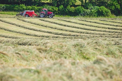 Preview: Tractor Baling Hay In Field