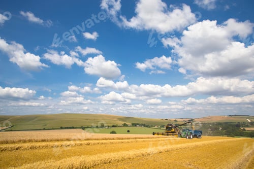 Preview: Wide Shot Of A Combine Harvester Reaping Wheat Into A Trailer Pulled By A Tractor In A Rural Field.