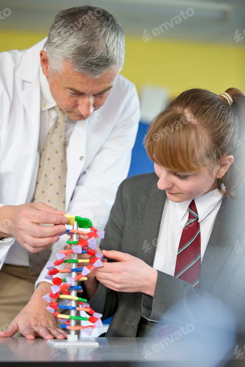Preview: Vertical Shot Of A Science Teacher Helping A High School Student Assemble A Helix Dna Model.