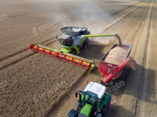 Preview: Aerial View Of Combine Harvester Harvesting Wheat And Filling Tractor Trailer With Grain