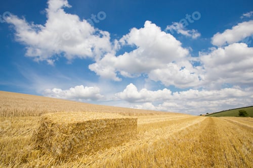 Preview: Bale Of Straw In Sunny Rural Field