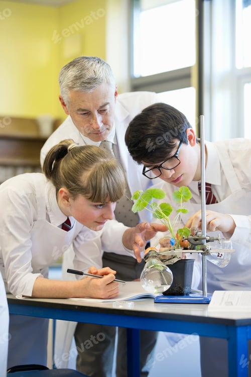 Preview: Vertical Shot Of A Teacher Watching High School Students Conduct Scientific Experiment On A Plant