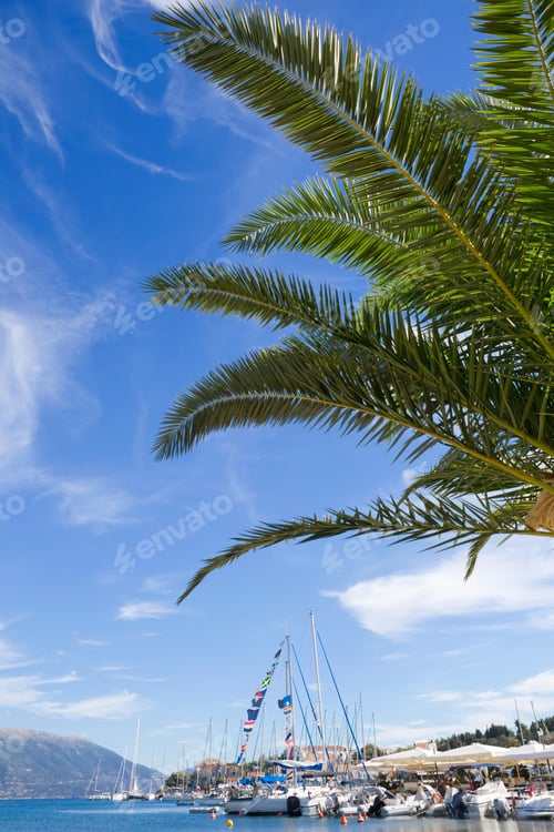 Preview: Greece, Kefalonia, Fiskardo, View Of Palm Tree And Boats In Harbour