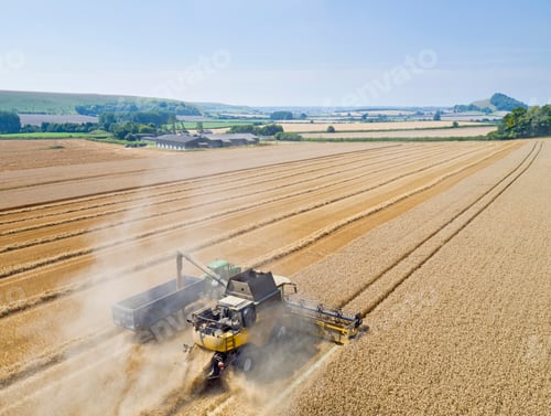 Preview: Aerial View Of Combine Harvester Harvesting Wheat Crop