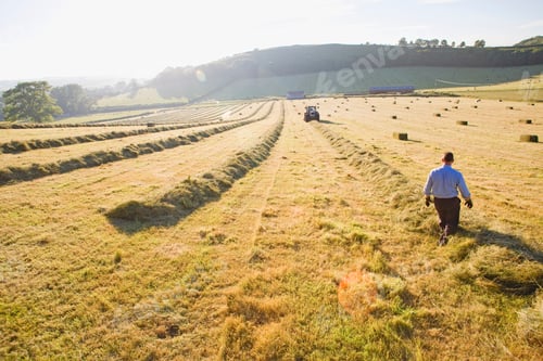 Preview: Farmer Observing A Tractor Making Bales In The Field