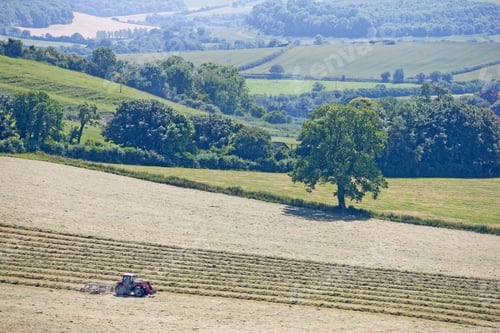 Preview: Tractor Turning Grass For Hay In Dorset Countryside, Uk