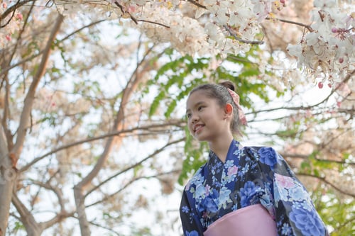 Preview: Attractive Asian Girl Wearing Kimono Looking Cherry Blossoms In The Garden