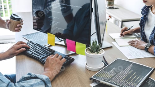 Preview: Teamwork Of Professional Programmers Cooperating At Developing Programming And Website Working In A