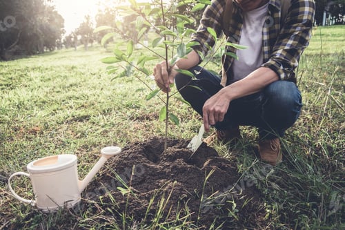 Preview: Young Man Planting The Tree While Watering A Tree Working In The Garden As Save World Concept