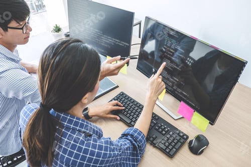 Preview: Two Professional Programmers Cooperating At Developing Programming And Website Working In A