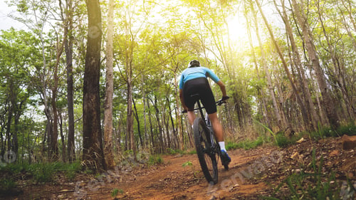 Preview: Mountain Biker Cyclists Training In The Forest