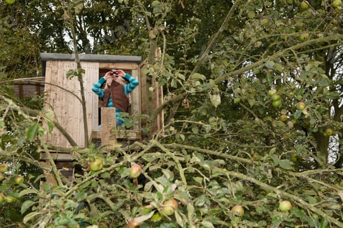 Preview: Girl With Binoculars In Treehouse