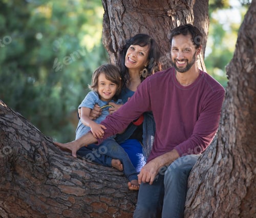 Preview: Portrait Of Young Boy With Mother And Father, Sitting In Tree