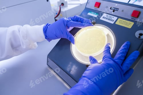 Preview: Cancer Research Laboratory, Female Scientist Studying Cells Growing In Agar Viewed Under A Lamp