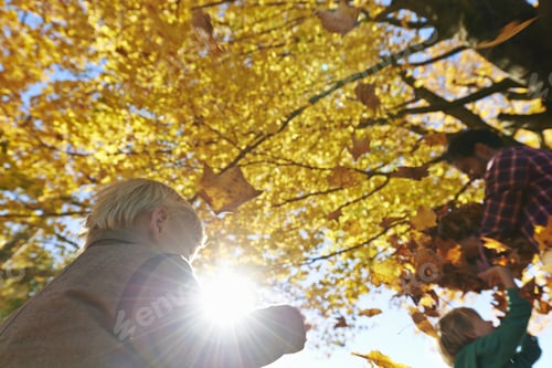 Preview: Family Playing In Forest, Throwing Leaves