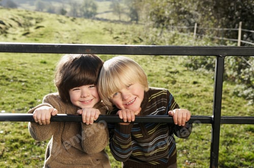 Preview: Two Young Boys On Gate In Countryside