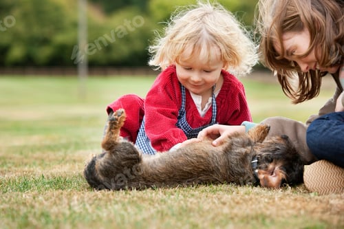 Preview: Dog Being Cuddled By Children