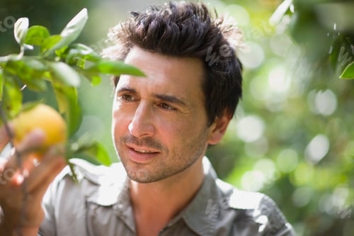 Preview: Man Looking At Orange