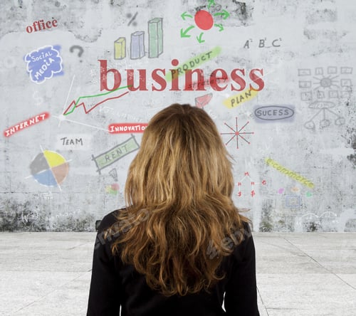 Preview: Business Concepts And Current Company