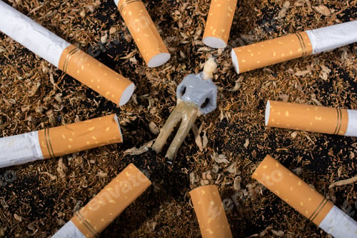 Preview: World No Tobacco Day Poster For Say No Smoking Concept