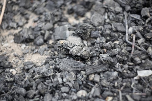 Preview: Charcoal Close Up