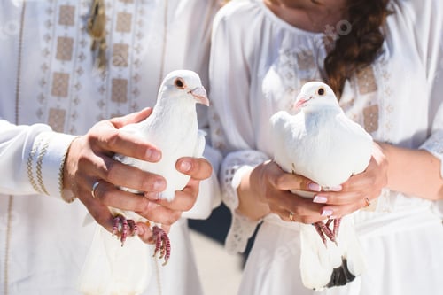 Preview: Bride And Groom Holding Two White Pigeons In Hands