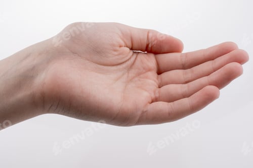 Preview: Human Hand On A White Background