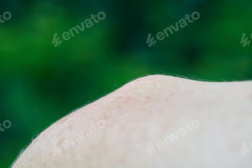 Preview: Shoulder