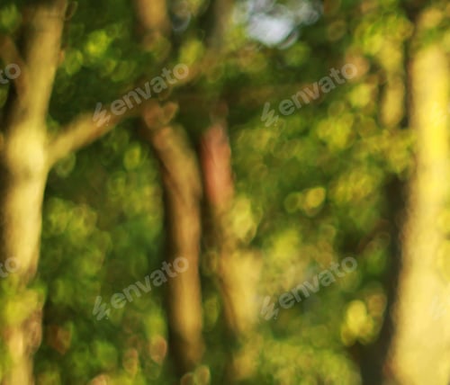 Preview: Blurred Trees Background