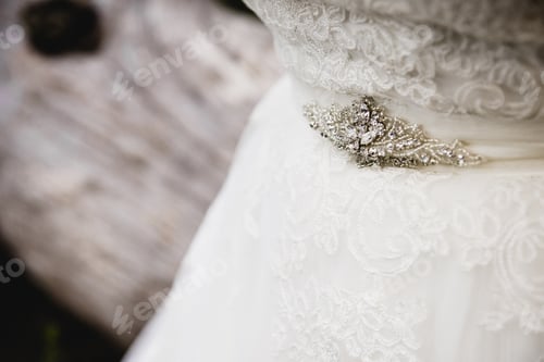 Preview: Jewels Set In The Clasp Of A Luxury Wedding Dress.