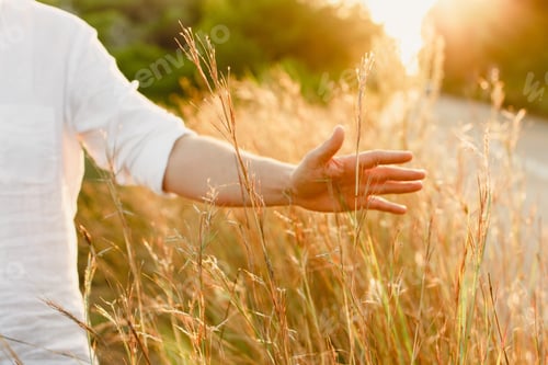Preview: Hand And Arm Of Man Stroking Plants And Tall Herbs