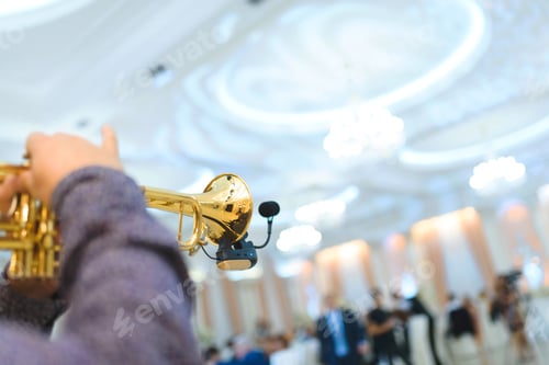 Preview: Musician Playing Golden Horn At Restaurant