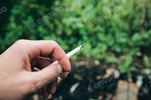 Preview: Man Is Holding White Cigarette In His Hand In Forest. Harmful Habit For Health And Pollution Of The