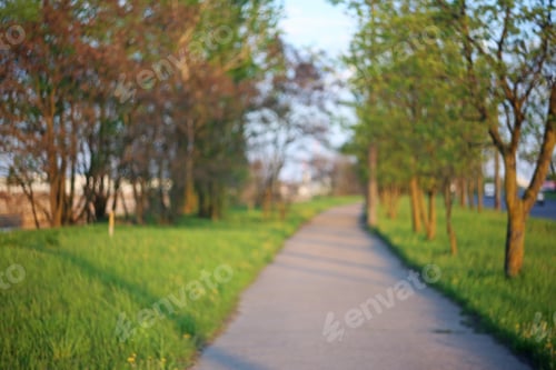 Preview: Blurred Park Trail Background