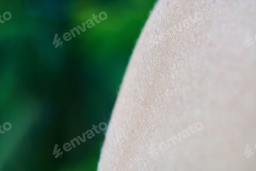 Preview: Shoulder