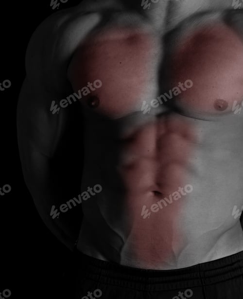 Preview: Muscular Male Torso With Chest And Abs Selected