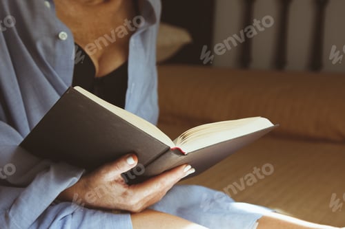 Vorschau: Frau liest das Buch zu Hause