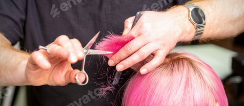 Preview: Close Up Of Hairdresser Cutting Short Pink Hair Of The Young Woman In A Hair Salon. Selective Focus